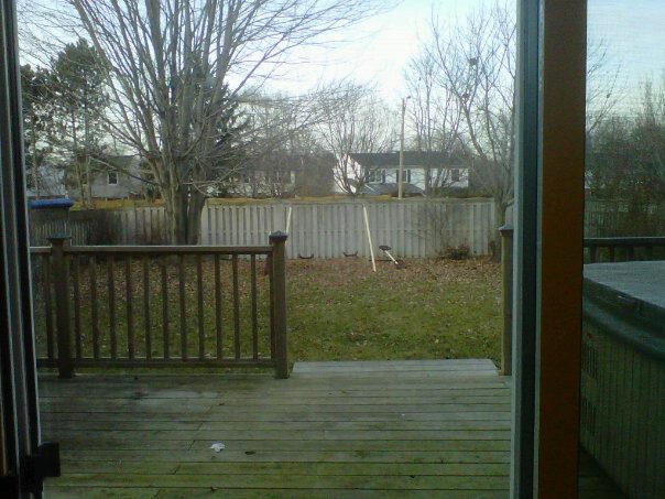 - Winter Backyard