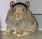 ZenMouse's Avatar
